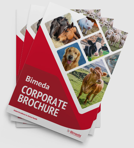 CORPORATE BROCHURE